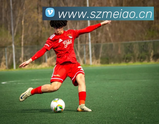 多媒体互动体验